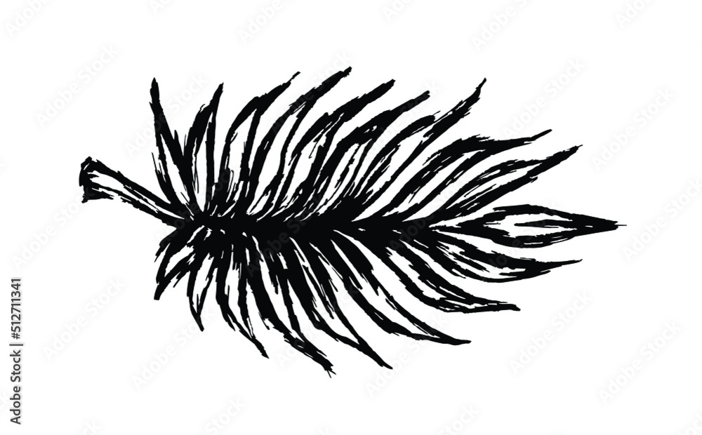 Palm leaf hand draw brush ink Palm leaf hand draw brush ink