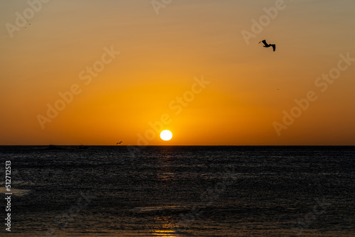 Beautiful view of an orange sunset in the midel of the Costa Rica Ocean, with a boat and pelicans  photo