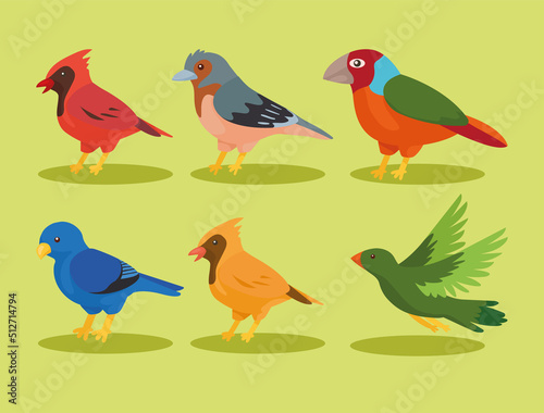 six birds species icons