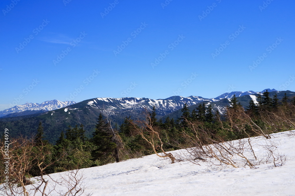 北海道　美瑛富士の雪渓からの眺め
