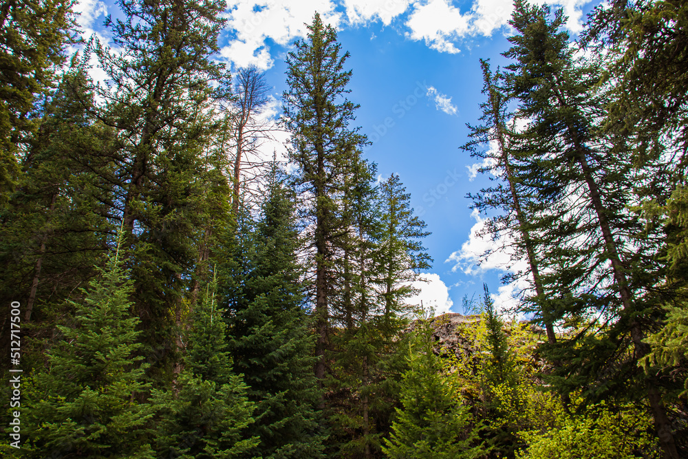 Rocky Mountain State Park, Colorado Rocky Mountain State Park, Colorado