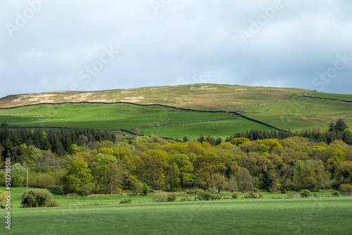 Scenic landscape view of lush rural agricultural land in central Scotland, with the Scottish highlands in the background