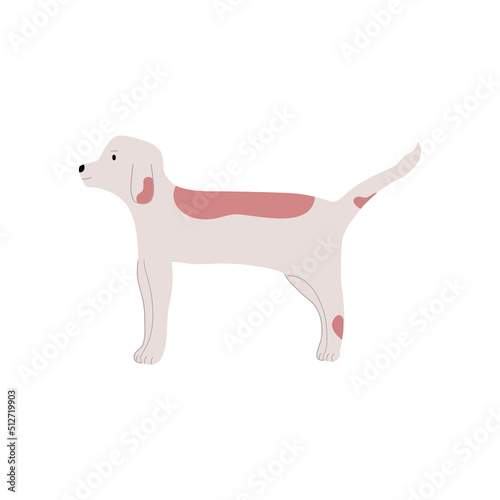 beagle puppy on white background, cute dog drawing line art, vector illustration in flat cartoon design.