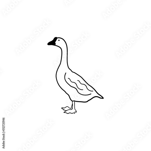 Duck drawing line icon on white background, vector illustration in flat cartoon design.