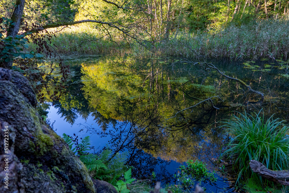 Lake in the forest Lake in the forest
