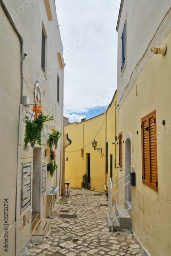A narrow street among the old houses in the historic center of Otranto, a town in Puglia in Italy. © Giambattista