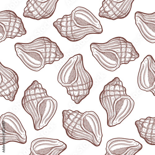 vintage hand drawn clam shell conch seamless pattern line art vector