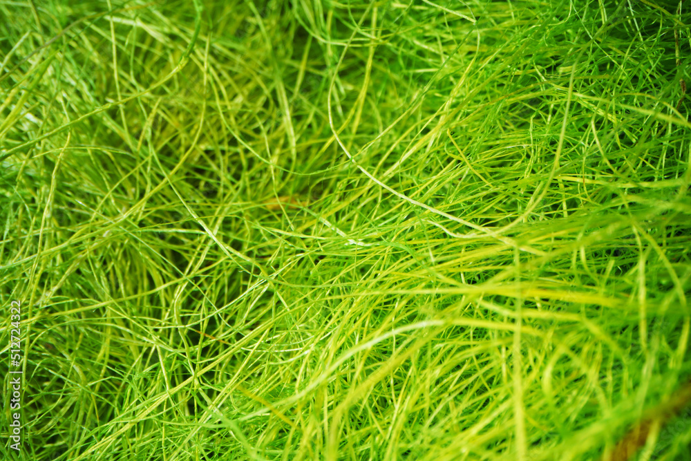 Macro shot of tangled threads close up