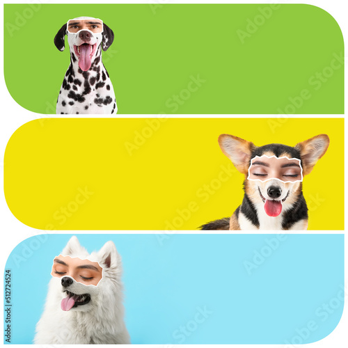 Collage of funny dogs with ...