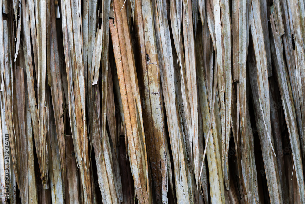 dry grass pile background for farming theme. Old hay texture for the countryside concept. dry grass pile background for farming theme. Old hay texture for the countryside concept.