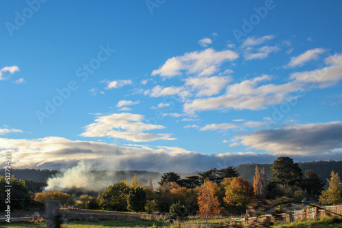 landscape with trees and sky