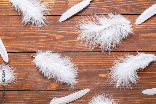 Beautiful white feathers on...