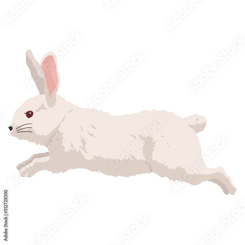 うさぎ