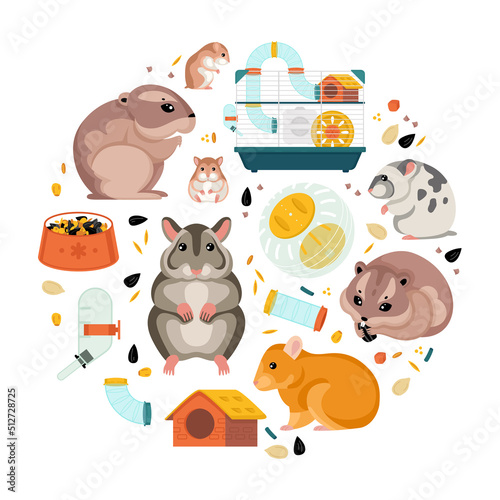 Hamster Flat Round Composition