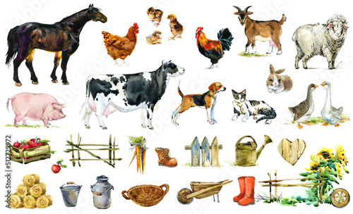 Farm animals and Birds watercolor collection. Livestock cartoon animal illustration