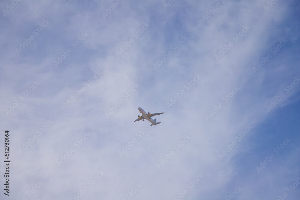 Plane crossing the sky of leaden or white colour. It can be seen between the branches of the trees of the city. Concept holidays and travels. Plane crossing the sky of leaden or white colour. It can be seen between the branches of the trees of the city. Concept holidays and travels.
