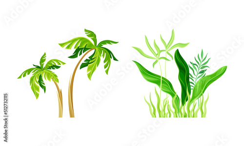 Green tropical plants set. Palm tree and exotic plants cartoon vector illustration