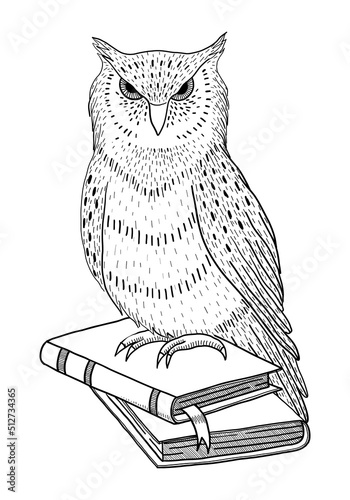 VECTOR OWL ON BOOKS ISOLATED ON A WHITE BACKGROUND. DOODLE DRAWING BY HAND photo