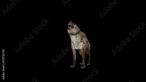 Hyena Howl Front animation.Full HD 1920×1080.4 Second Long.Transparent Alpha video.LOOP. photo