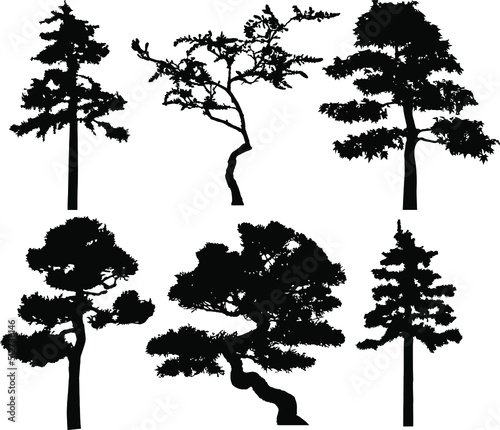 Vector silhouette of trees. Isolated eps 10.