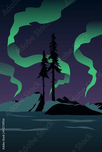 night forest landscape