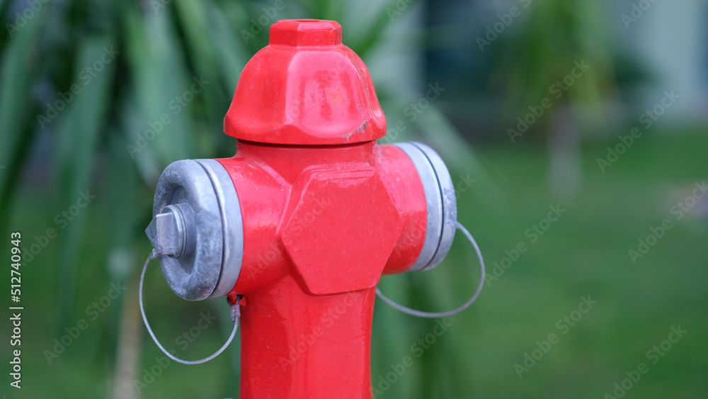 Red fire hydrant standing in park closeup