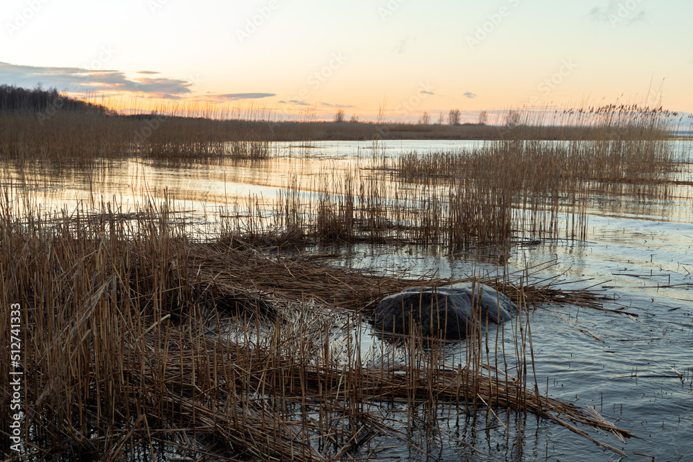 Coastal landscape with shore water of Baltic Sea Coastal landscape with shore water of Baltic Sea