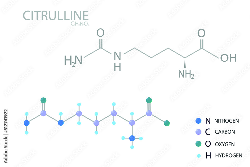 Citrulline molecular skeletal 3D chemical formula.
Citrulline molecular skeletal 3D chemical formula.