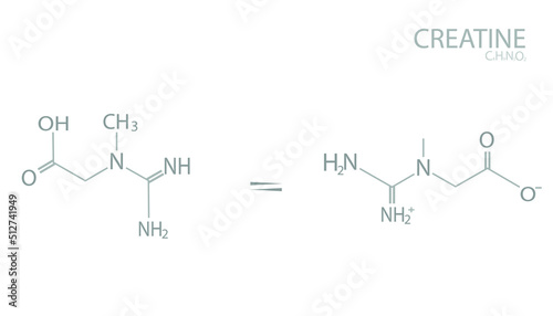 Creatine molecular skeletal chemical formula. 