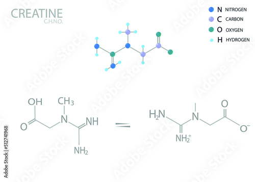 Creatine molecular skeletal 3D chemical formula.	

