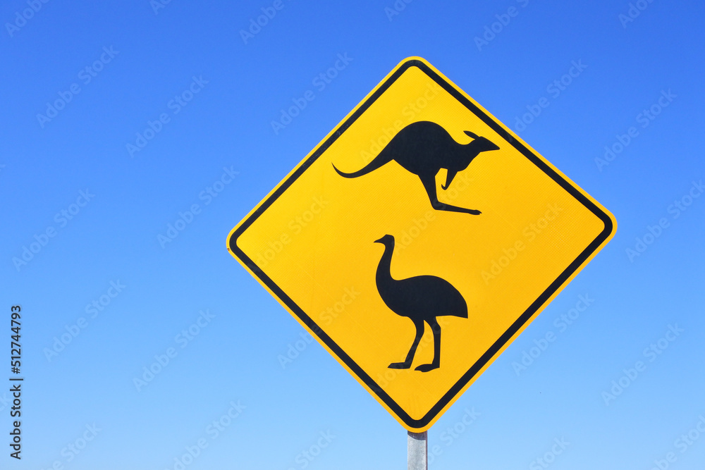 Kangaroo jumping over an Australian Emu bird silhouette cut out on a road sign Kangaroo jumping over an Australian Emu bird silhouette cut out on a road sign