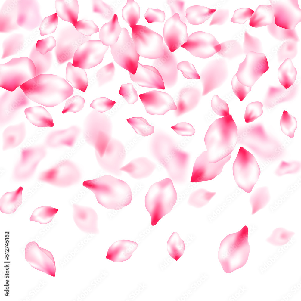 Pink sakura petals confetti flying and falling Pink sakura petals confetti flying and falling