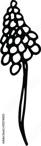 spring Flower on a white background