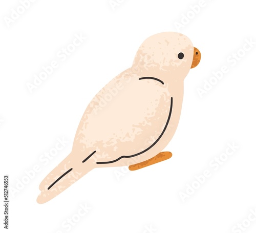 Cute parrot bird. Little budgerigar pet. Small exotic birdie. Back of adorable lovely feathered budgie. Tropical fauna. Flat graphic vector illustration isolated on white background