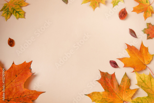 Frame of colorful red and yellow autumn leaves with cones and rowan berries on trendy beige background. First day of school, back to school, fall concept. 