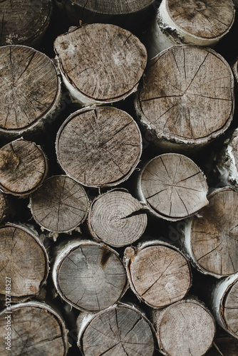 texture of wooden logs of different sizes lying in a heap