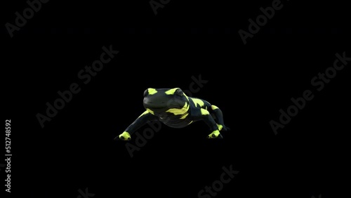 4K Salamander Front Idle animation.3840×2160.5 Second Long.Transparent Alpha Loop photo