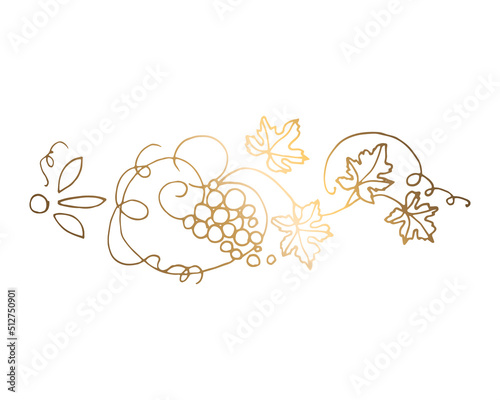 Vine. Vector illustration. Design elements with a twisting vine with leaves and berries. Drawing by hand in the style of line art. Horizontal ornament.