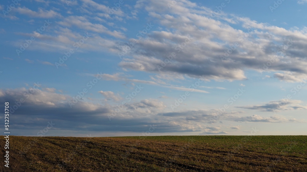 Rural landscape. Wavy field, horizon and blue sky with clouds. Leningrad region, Russia