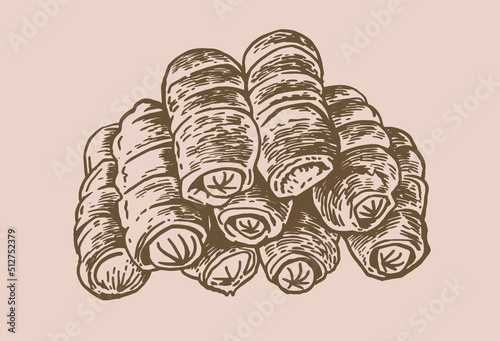 Vector vintage  sausages in dought , fast food on sepia background 