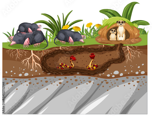 Underground animal hole in cartoon style