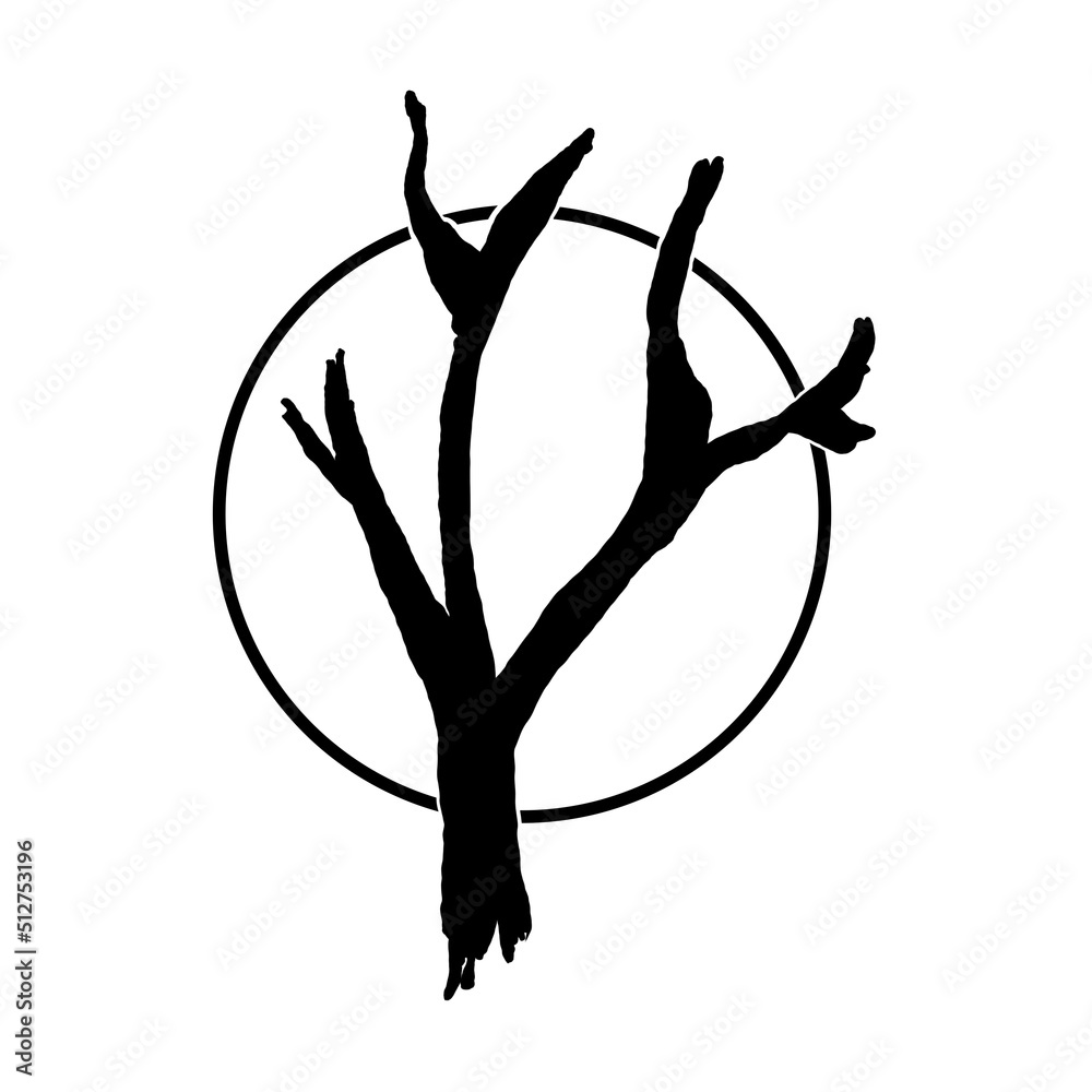 Fototapeta premium tree with roots