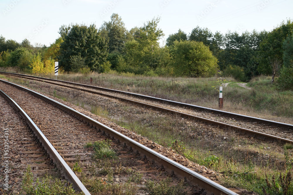 Obraz premium Train track/ railroad - perspective