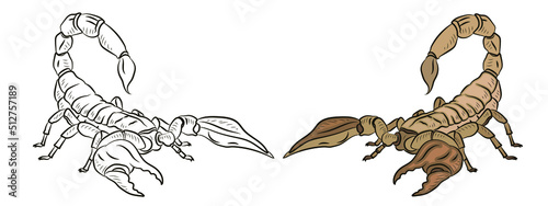 Scorpio, vector image. Black and white and color drawing, coloring book for children. Symbol.