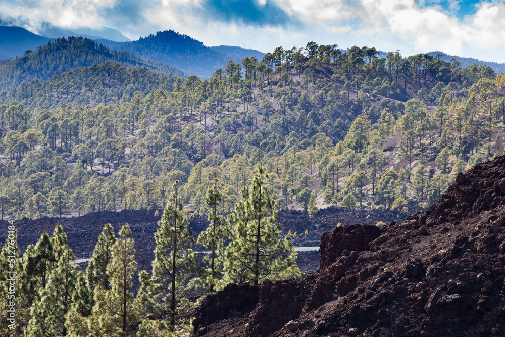 amazing landscape in El Teide national park amazing landscape in El Teide national park