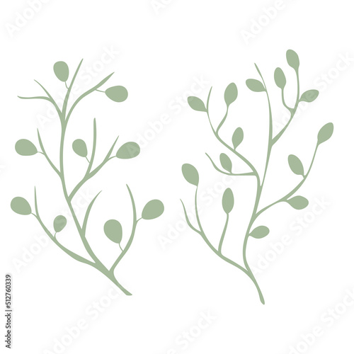 Wallpaper Mural Olive Branch Leaves vector set isolated from the background Leaves different shapes in modern flat style Torontodigital.ca