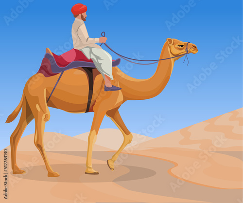 Camel rider in colorful dress, Popular Desert Festival 