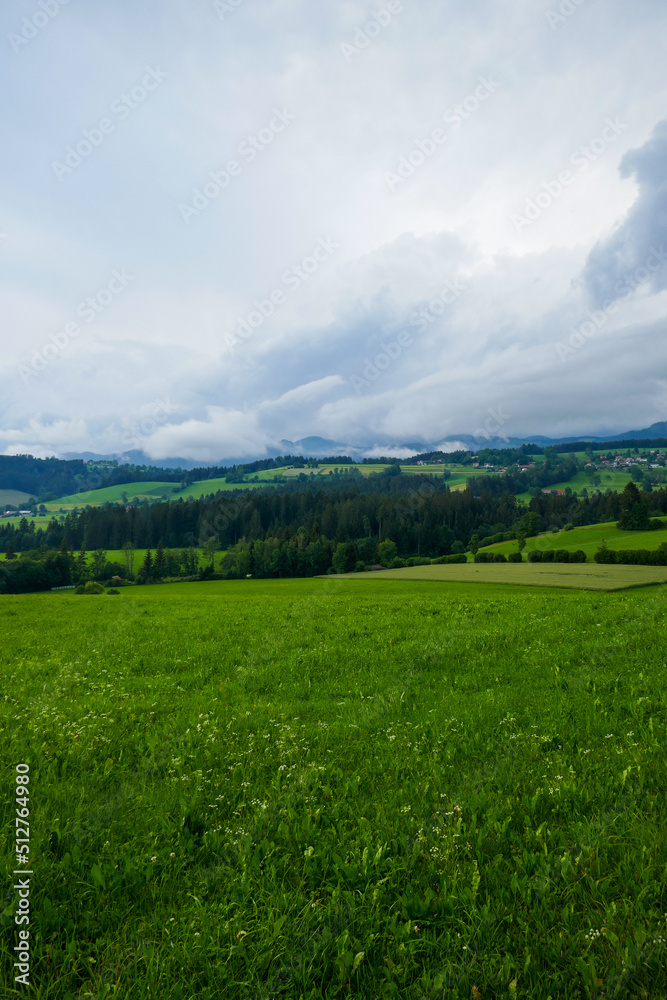Austria, land of Styria. Beautiful mountain landscape in a mountain village after rain. The beautiful nature of Austria, the road in the mountains.