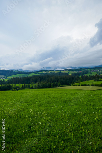 Austria  land of Styria. Beautiful mountain landscape in a mountain village after rain. The beautiful nature of Austria  the road in the mountains.