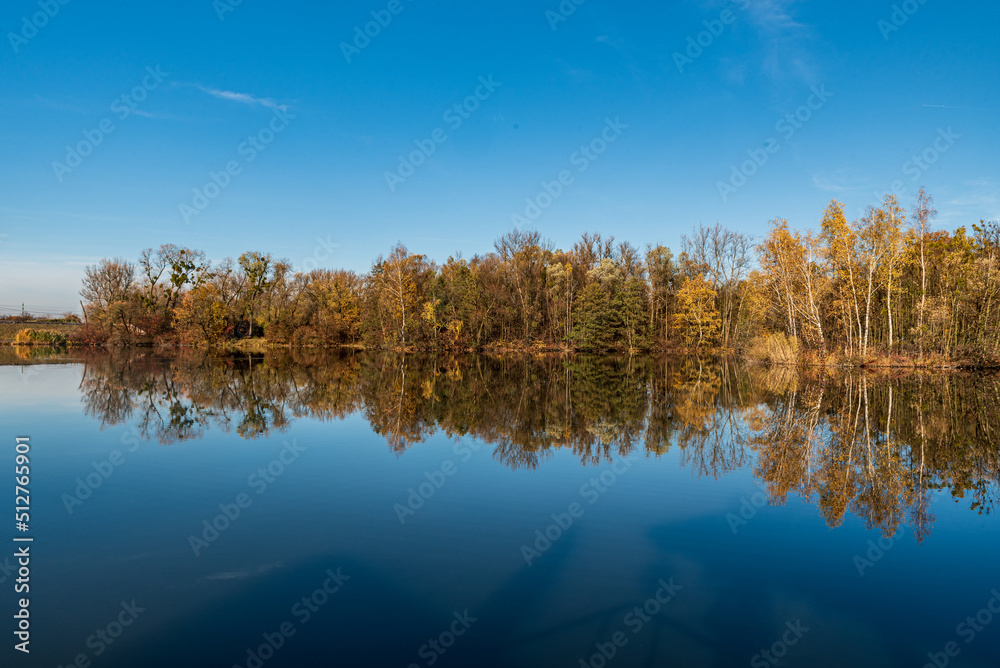 Pond with colorful trees around during autumn day with clear sky Pond with colorful trees around during autumn day with clear sky